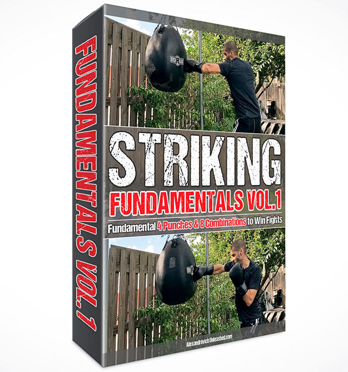 Fundamental Four: The Essential 4 Punches Every Fighter Needs to Master